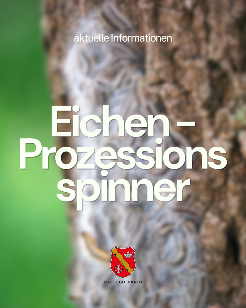 Eichen_prozessionsspinner.png